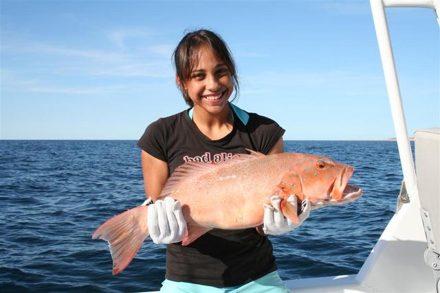 D 1's PB Coral Trout